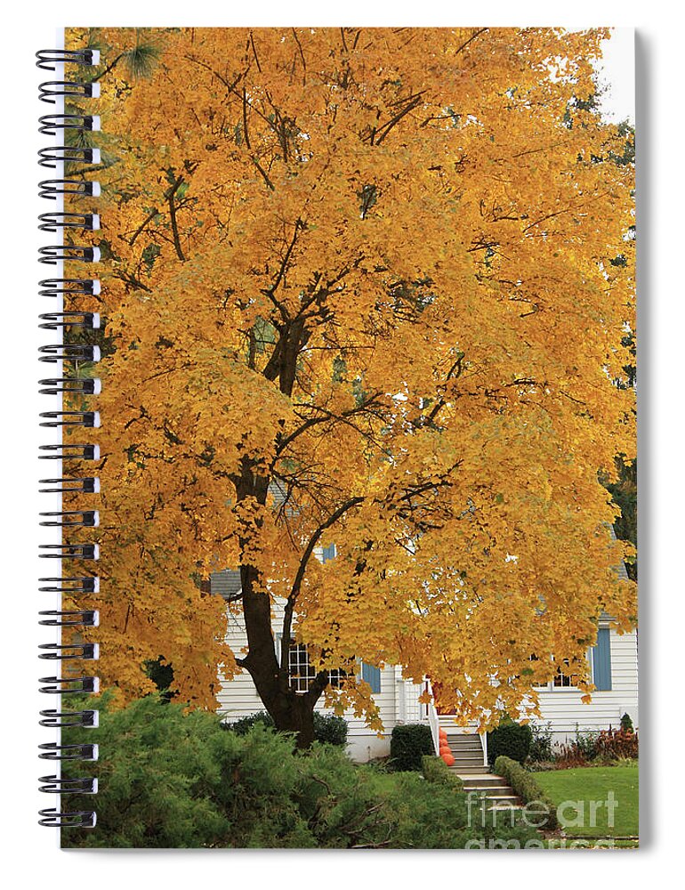 Autumn Spiral Notebook featuring the photograph Classic Autumn Scene by Carol Groenen