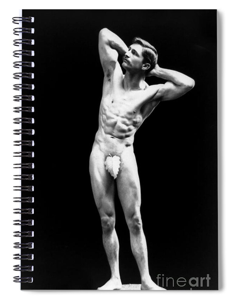 Erotica Spiral Notebook featuring the photograph Classical Pose, Nude Male Model, 1893 by Science Source