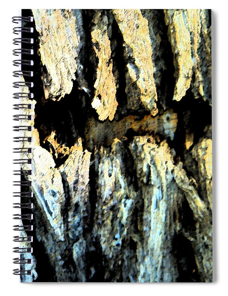 Abstract Spiral Notebook featuring the photograph Cliff Dwellings by Lenore Senior