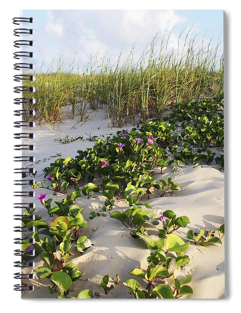 Nature Spiral Notebook featuring the photograph Climbing the Dunes by Marilyn Hunt