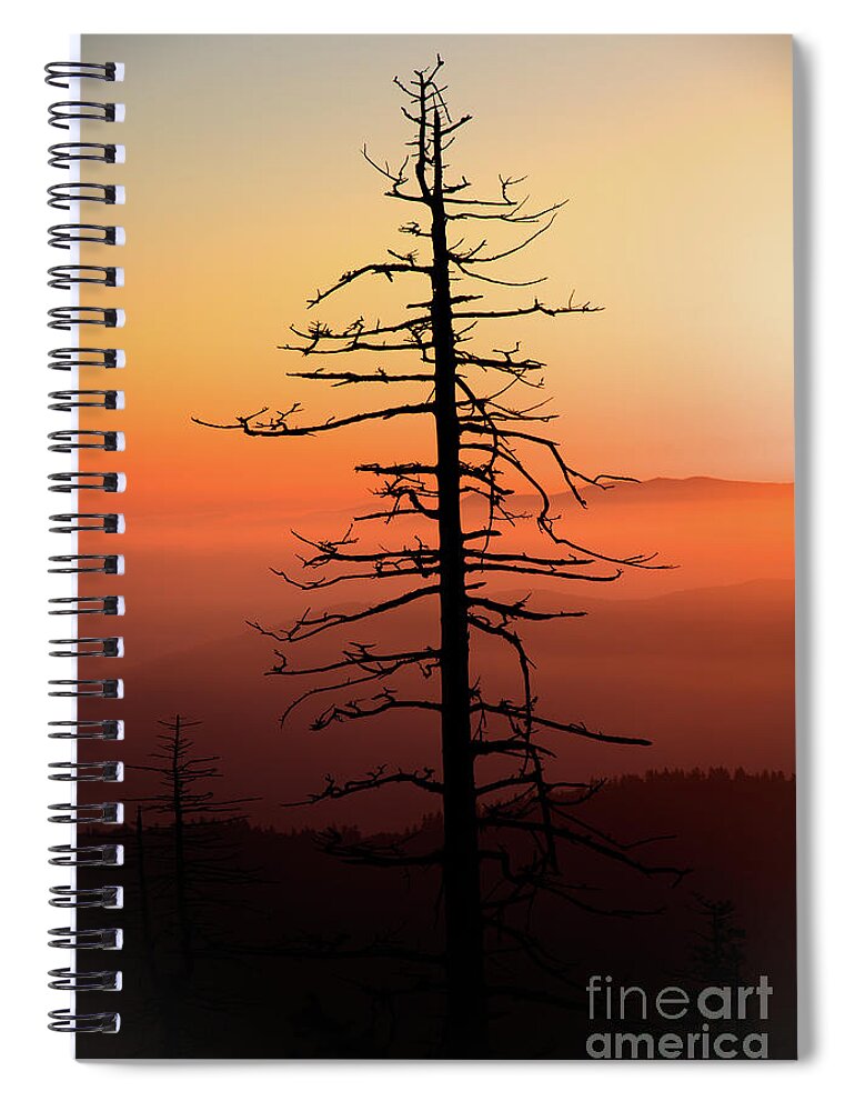 Tree Spiral Notebook featuring the photograph Clingman's Dome Sunrise by Douglas Stucky