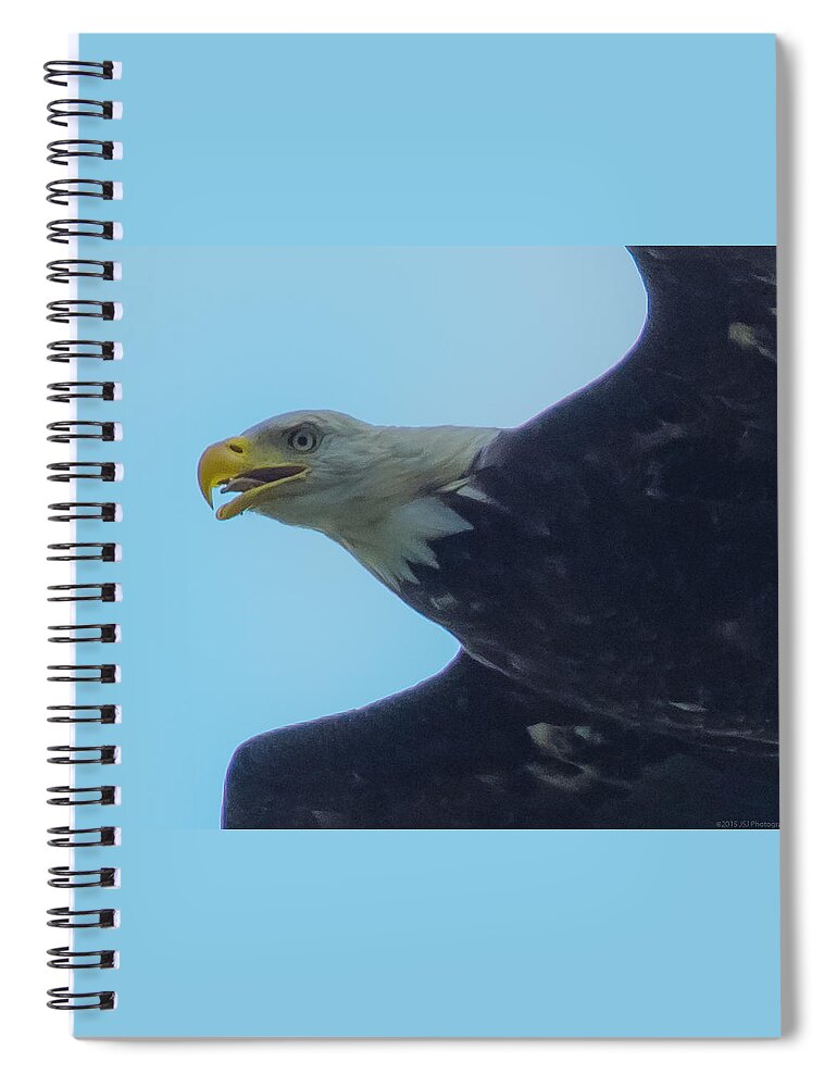 20150725 Spiral Notebook featuring the photograph Close-Up Eagle Tongue Just like Jordan by Jeff at JSJ Photography