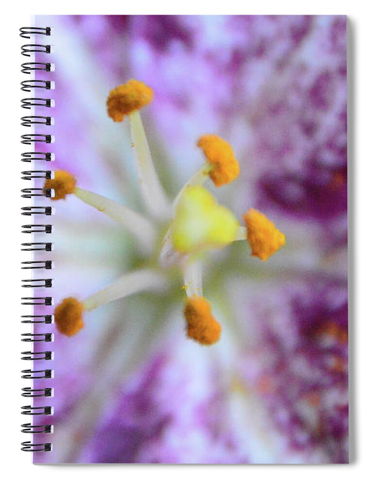 Anniversary Spiral Notebook featuring the photograph Close Up Flower by Brian O'Kelly