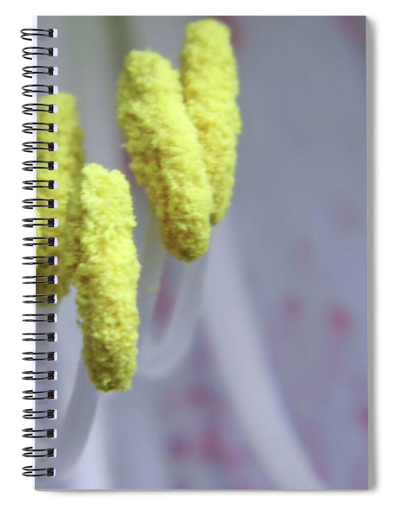 Pollen Spiral Notebook featuring the photograph Close Up - Macro - Flower by D Hackett
