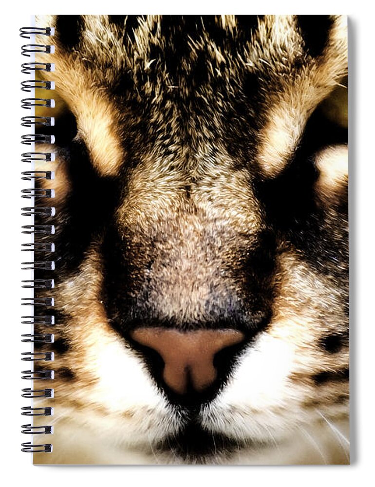 Cat Spiral Notebook featuring the photograph Close up shot of a cat by Fabrizio Troiani