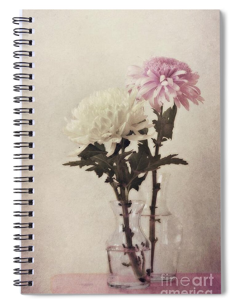 Daisy Spiral Notebook featuring the photograph Closely by Priska Wettstein