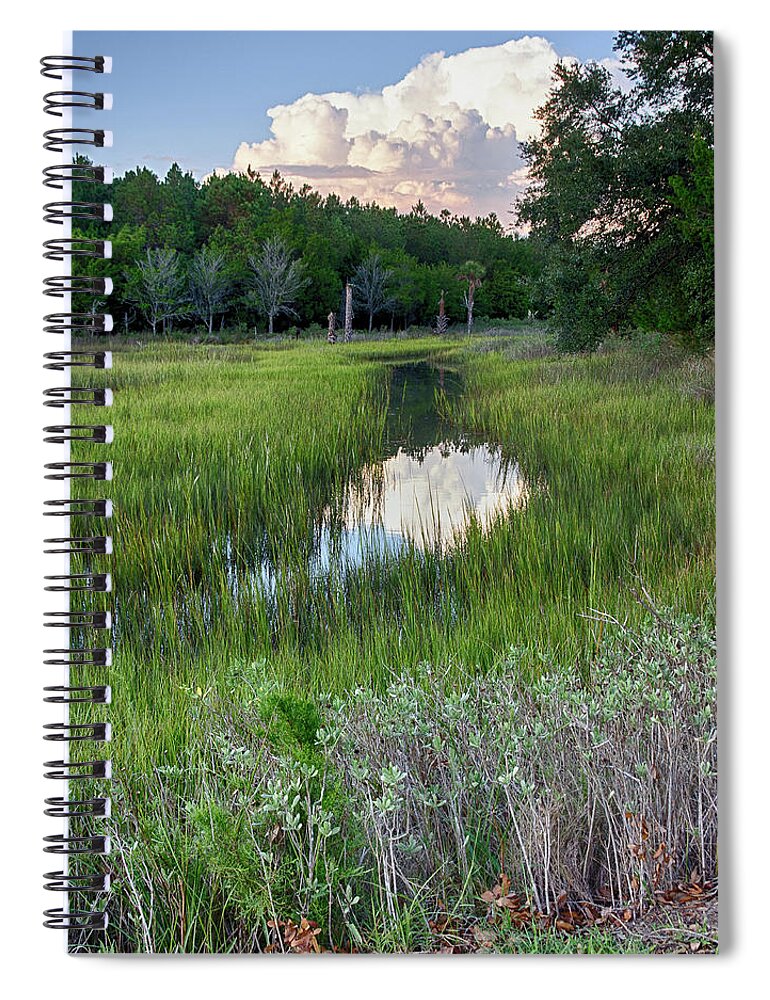 Seabrook Island Spiral Notebook featuring the photograph Cloud Over Marsh by Patricia Schaefer