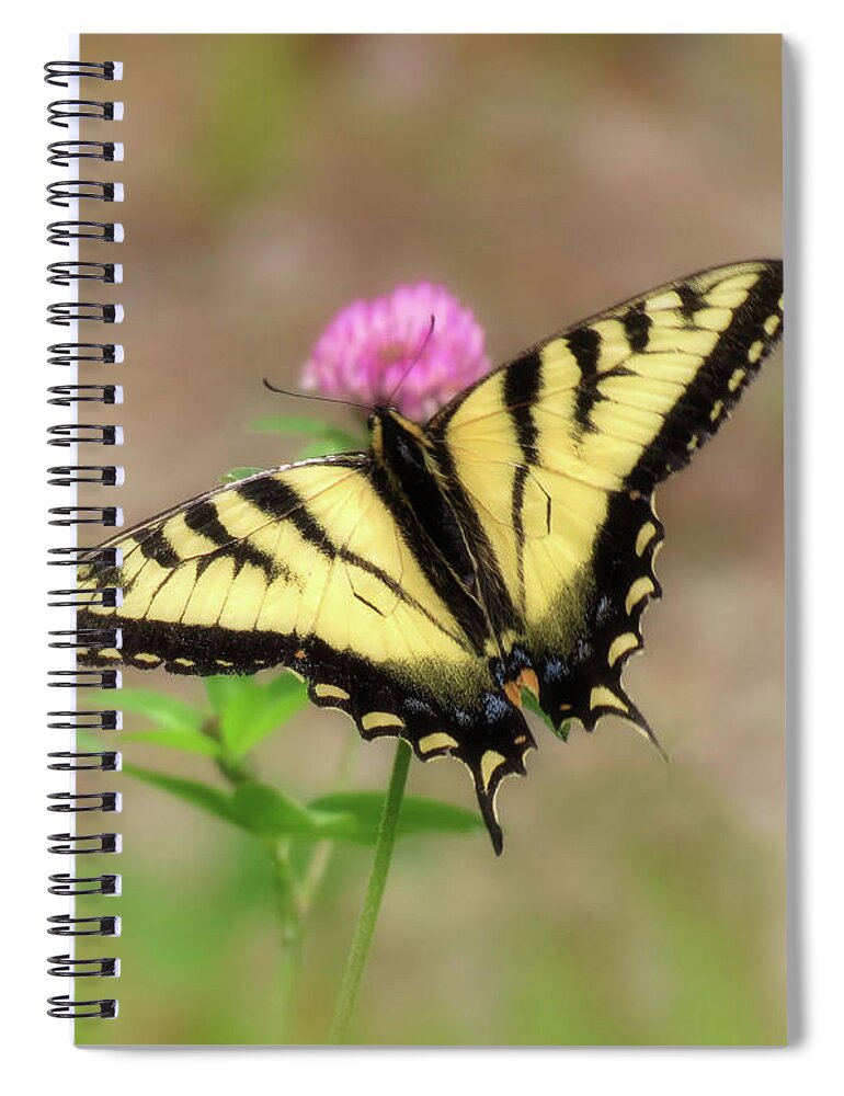 Swallowtail Butterfly Spiral Notebook featuring the photograph Clover and Swallowtail - Butterfly by MTBobbins Photography