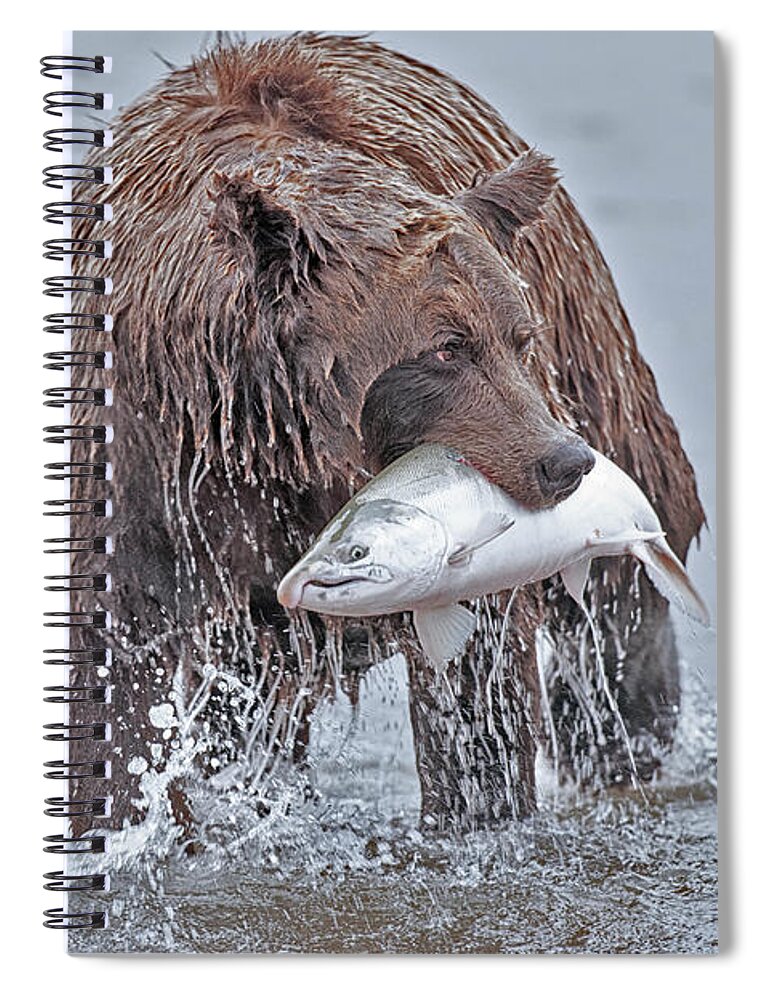 Coastal Spiral Notebook featuring the photograph Coastal Brown Bear with Salmon by Gary Langley