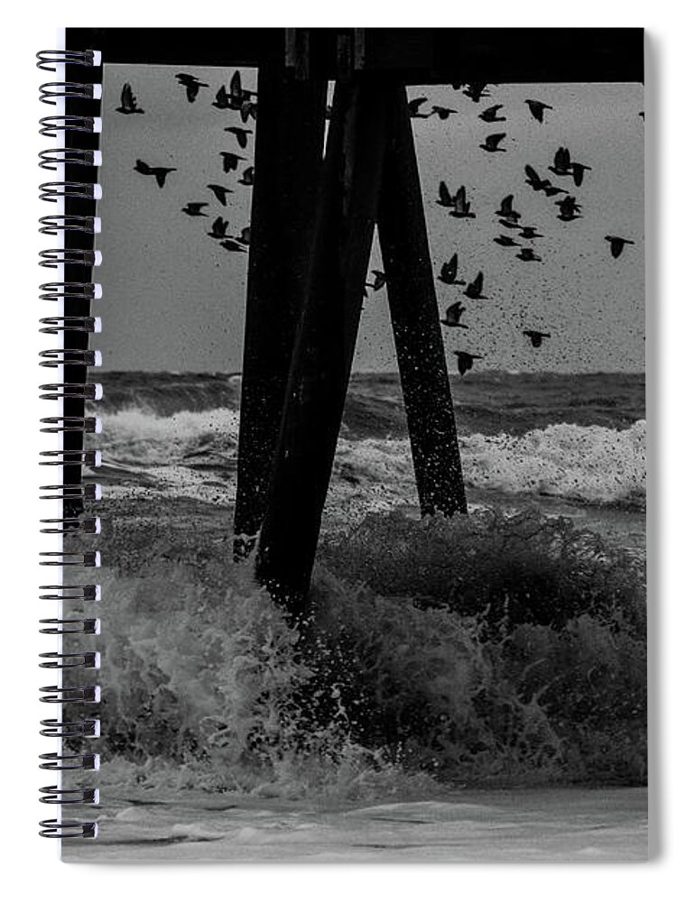 Bird Spiral Notebook featuring the photograph Coastal Movements by Nicole Lloyd