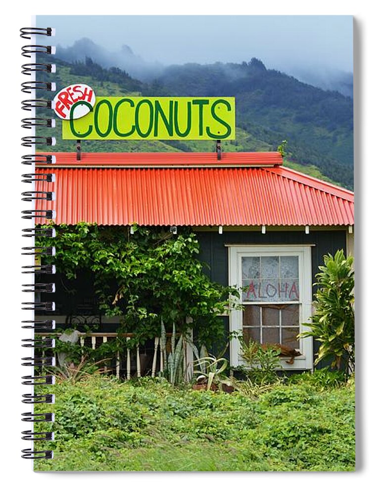 Landscape Spiral Notebook featuring the photograph Coconut Hut by Carolyn Mickulas