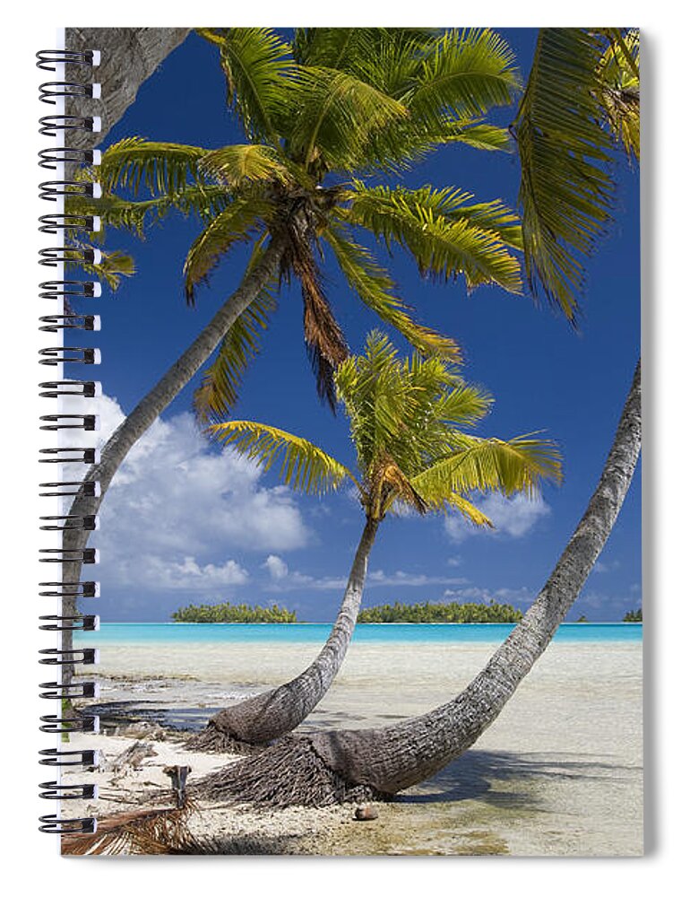 Beach Spiral Notebook featuring the photograph Coconut Palms On A Polynesian Beach by Jean-Louis Klein & Marie-Luce Hubert