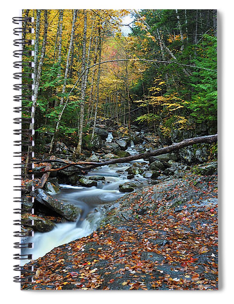 Photograph Spiral Notebook featuring the photograph Coffee and Cream by Richard Gehlbach