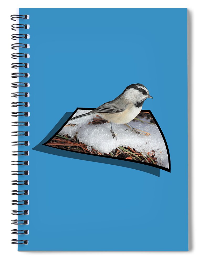 Chickadee Spiral Notebook featuring the photograph Cold Feet by Shane Bechler