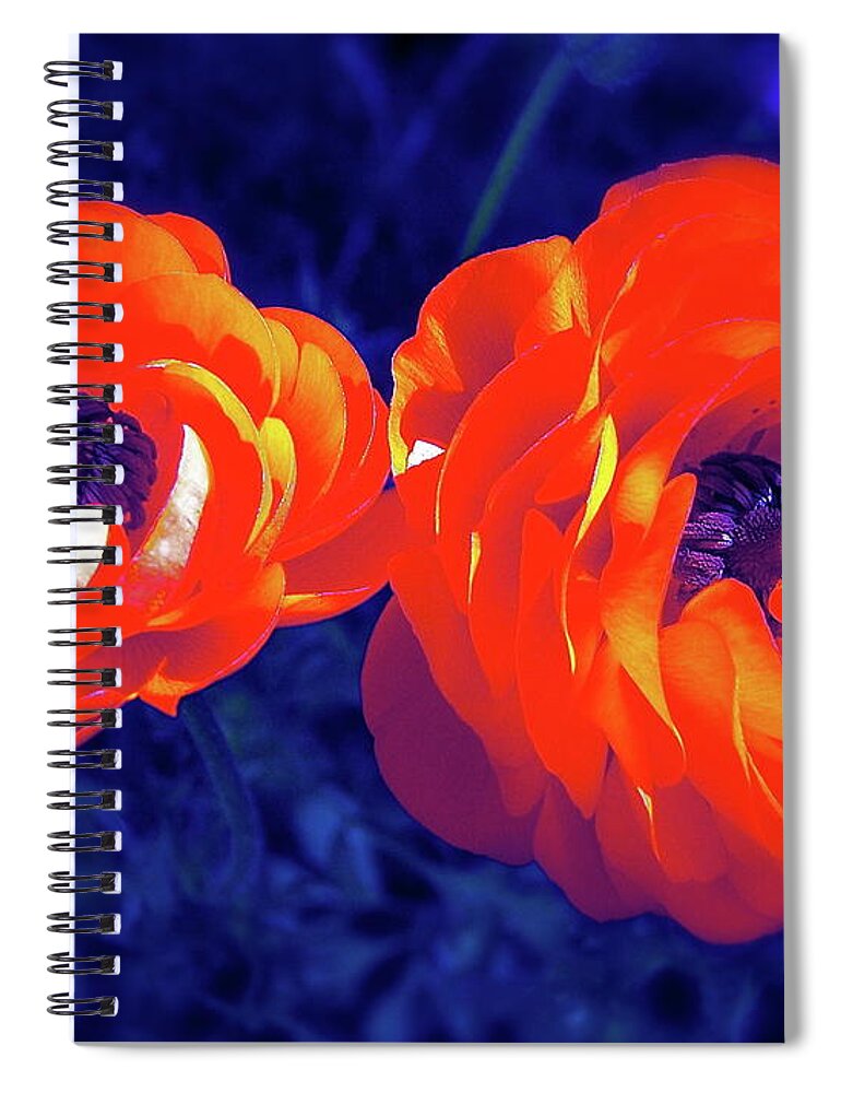 Flowers Spiral Notebook featuring the photograph Color 12 by Pamela Cooper