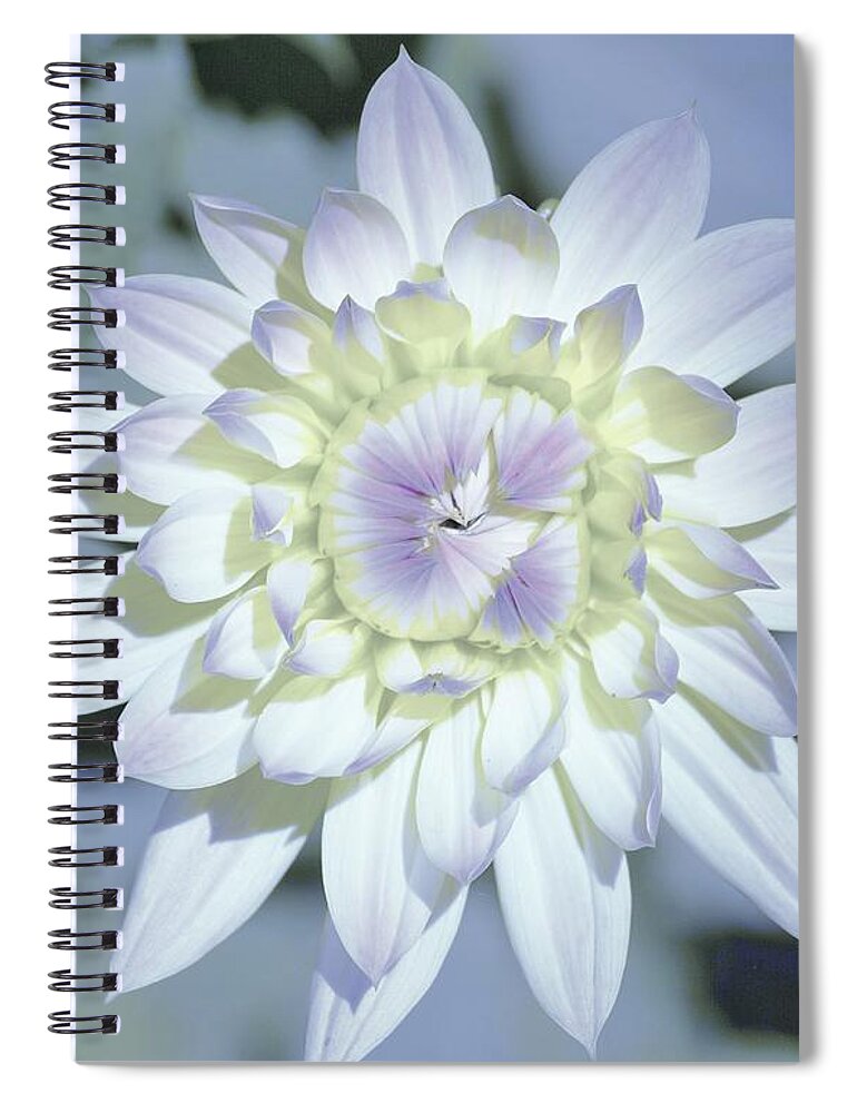 Flowers Spiral Notebook featuring the photograph Color Me by Merle Grenz