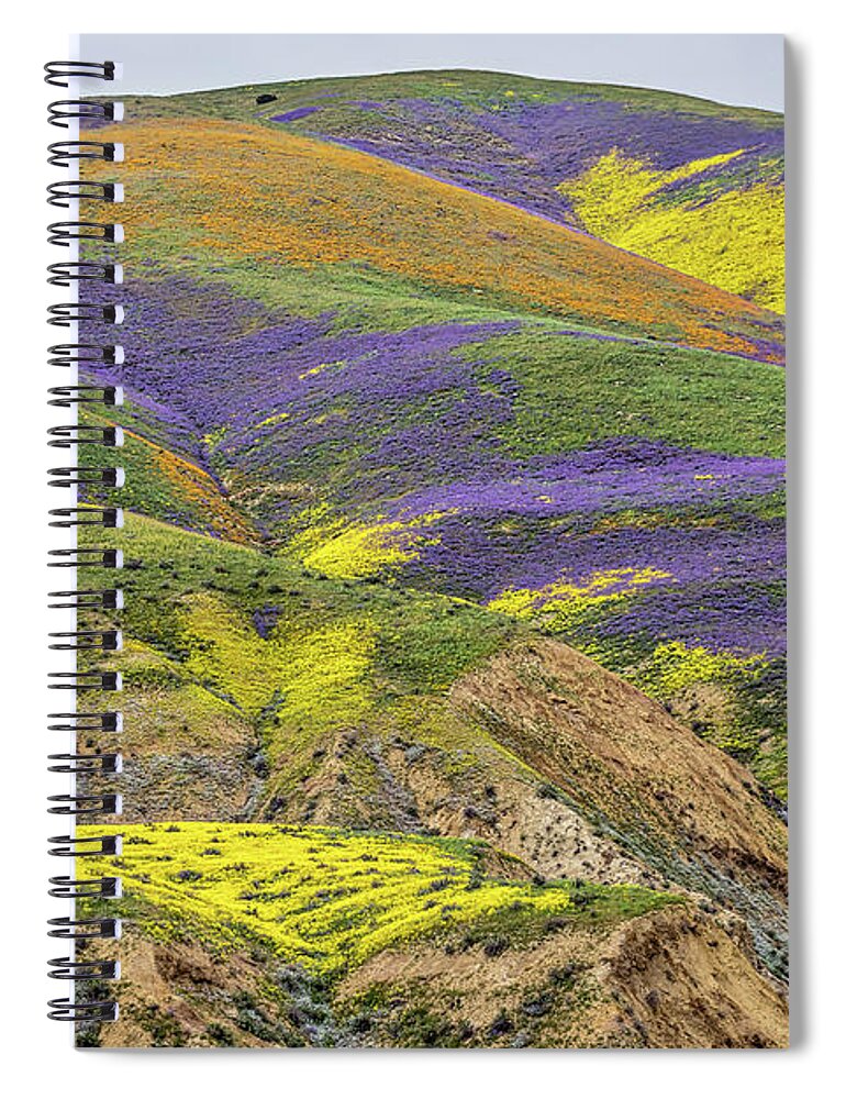 Blm Spiral Notebook featuring the photograph Color Mountain II by Peter Tellone