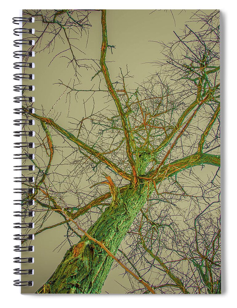 Tree Spiral Notebook featuring the photograph Color Tree Abstract by Bruce Pritchett