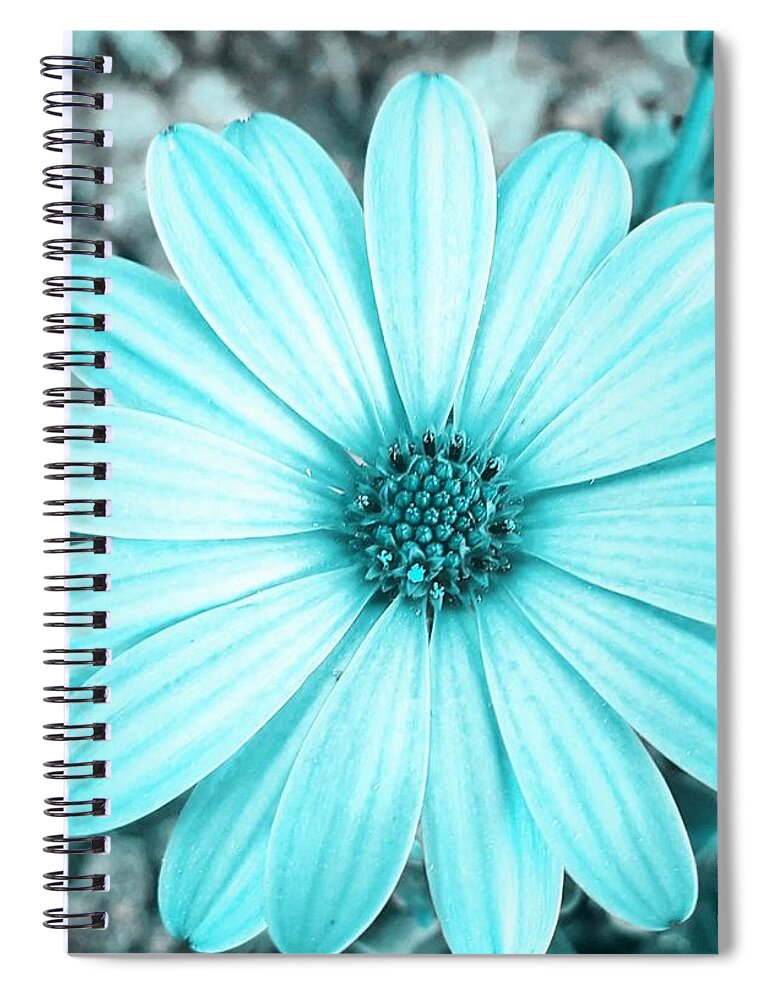 Flower Spiral Notebook featuring the photograph Color Trend Blue Blossom by Rachel Hannah