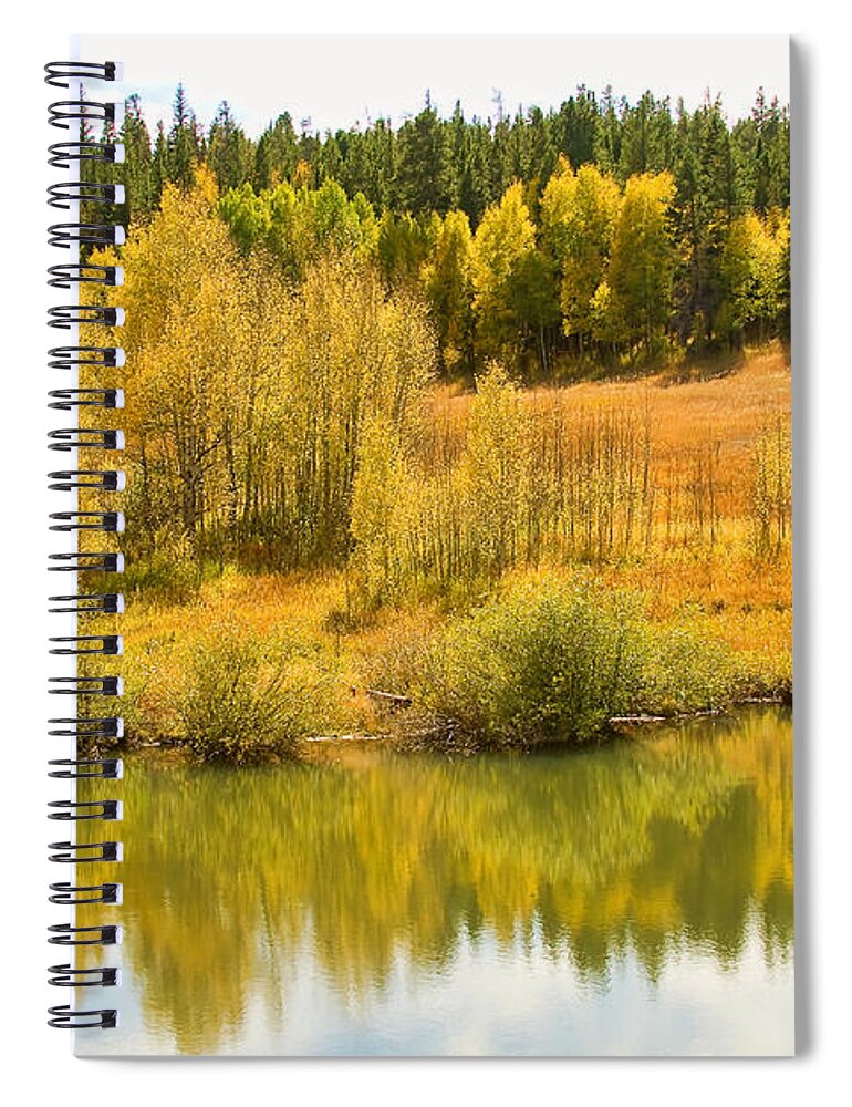 Boulder Country Spiral Notebook featuring the photograph Colorado Autumn Reflections by James BO Insogna