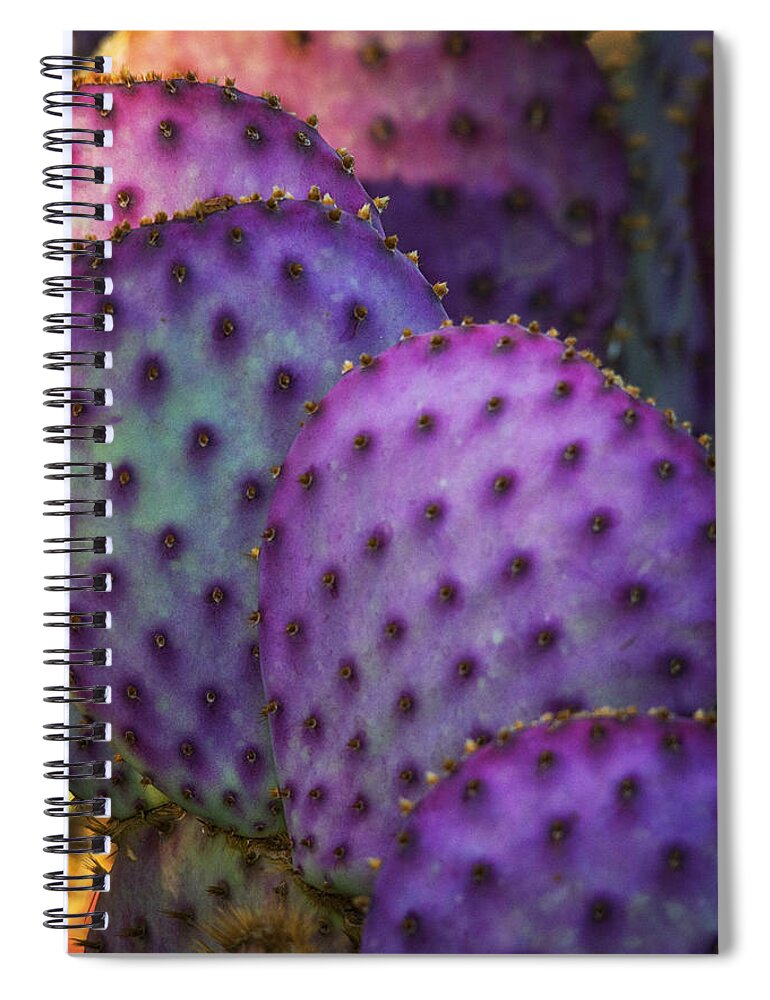 Cactus Pads Spiral Notebook featuring the photograph Colorful Rainbow of Cactus Pads by Saija Lehtonen