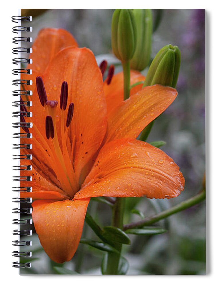 Photograph Spiral Notebook featuring the photograph Colorful Raindrops by Suzanne Gaff