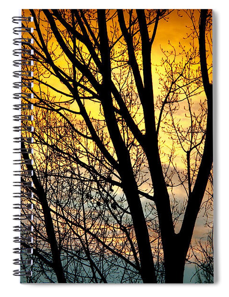 Sunsets Spiral Notebook featuring the photograph Colorful Sunset Silhouette by James BO Insogna