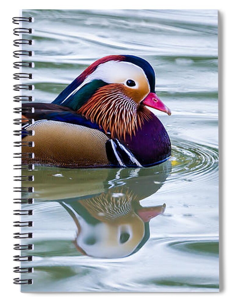 Colorful Spiral Notebook featuring the photograph Colorful by Torbjorn Swenelius