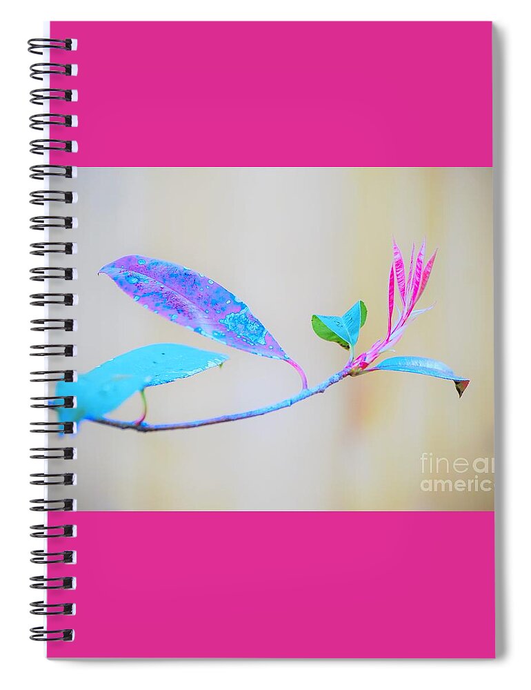 Colorful Spiral Notebook featuring the photograph Colorfully designed by Merle Grenz
