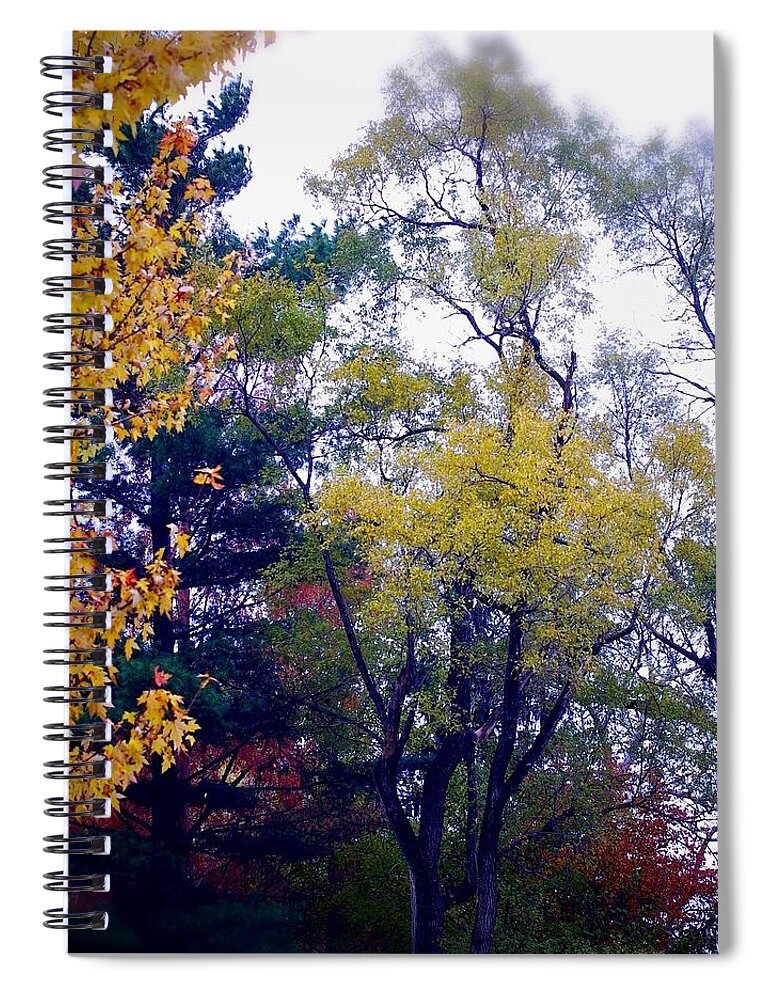 Frank J Casella Spiral Notebook featuring the photograph Colors by Frank J Casella