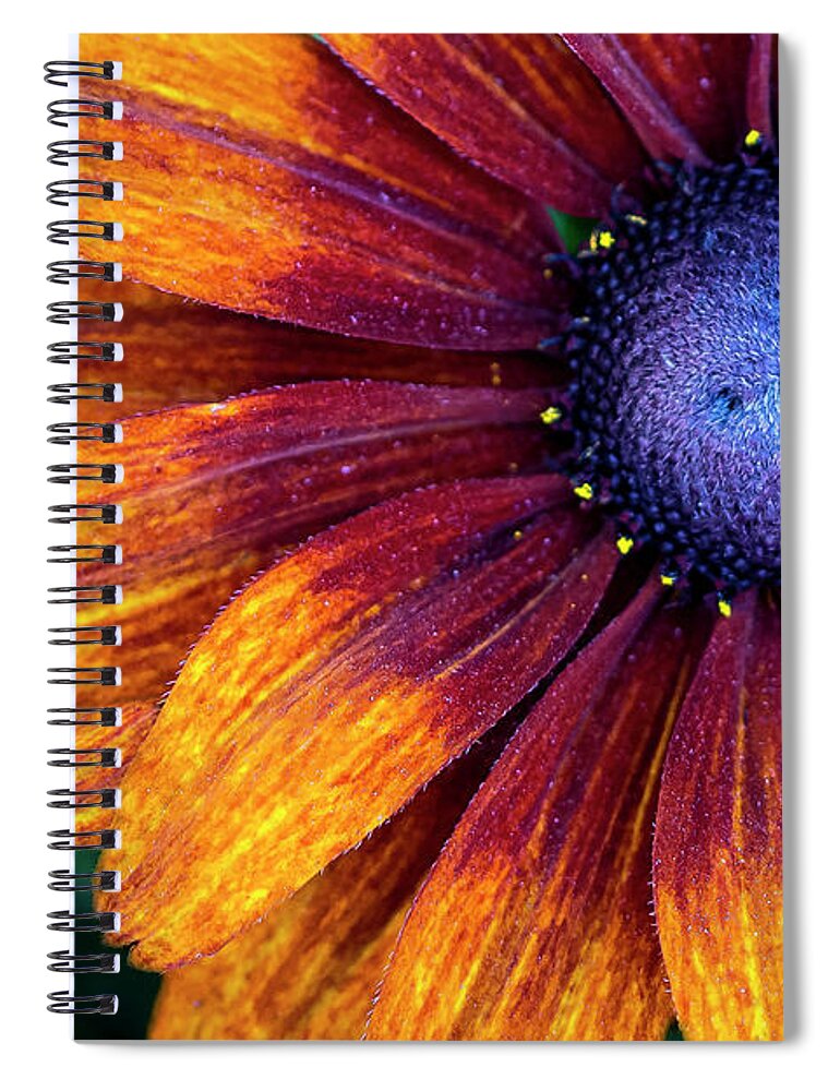 Flower Spiral Notebook featuring the photograph Colors Inside by Vanessa Thomas