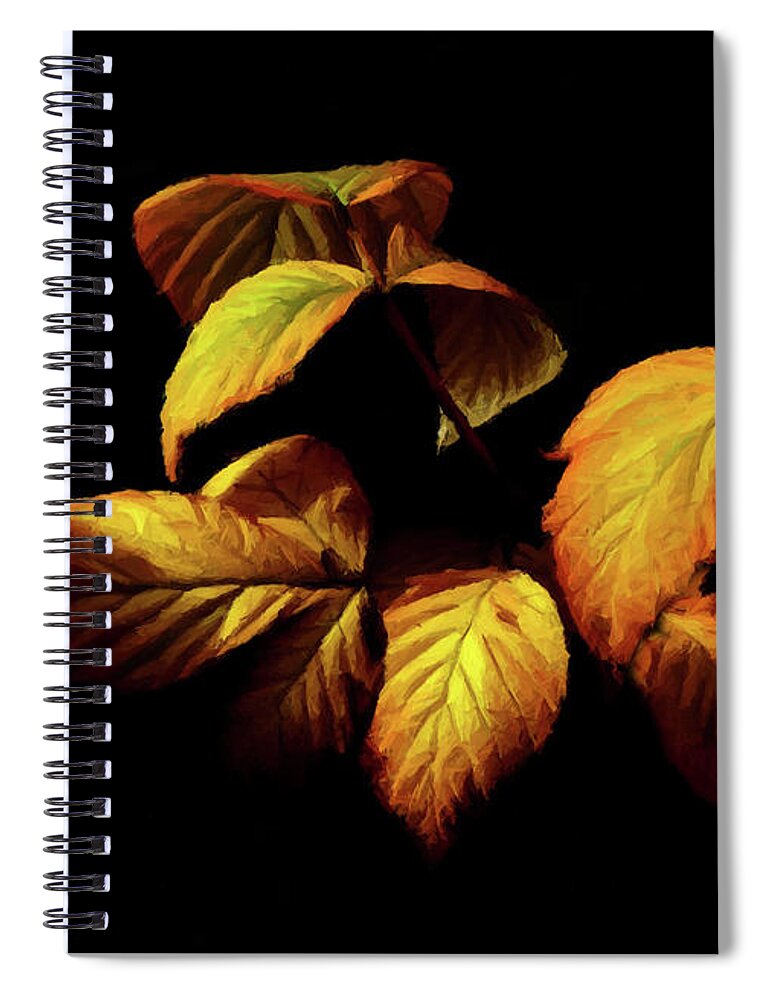 Autumn Spiral Notebook featuring the painting Colors of Autumn Memories by David Dehner