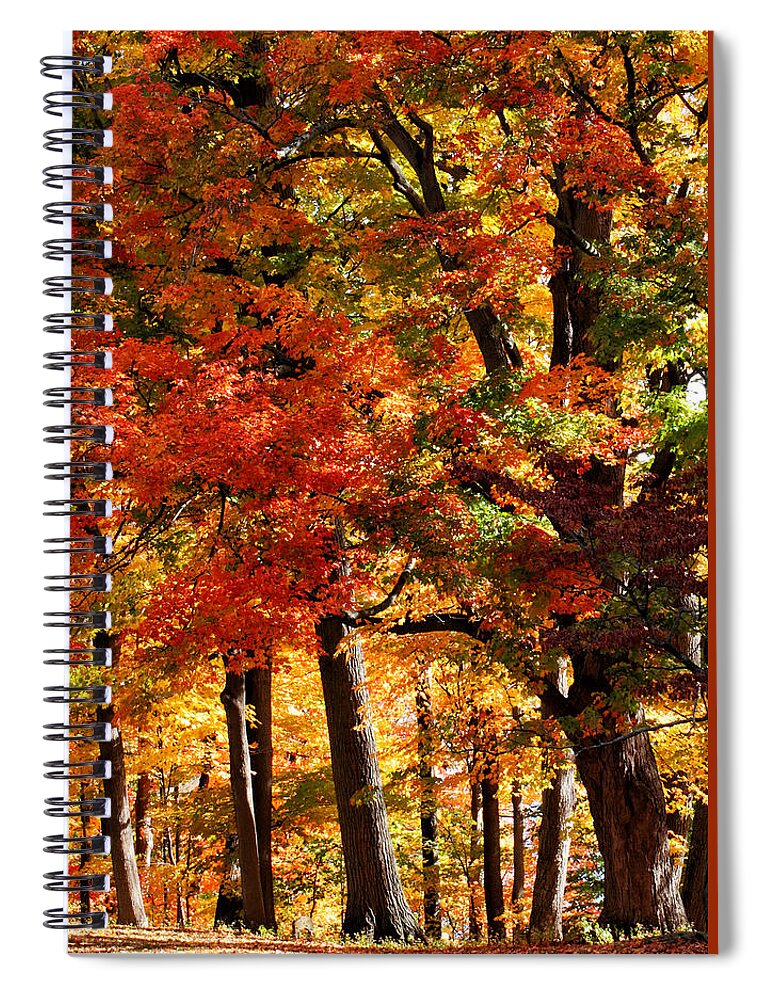 Fall Spiral Notebook featuring the photograph Colors of Fall by William Selander