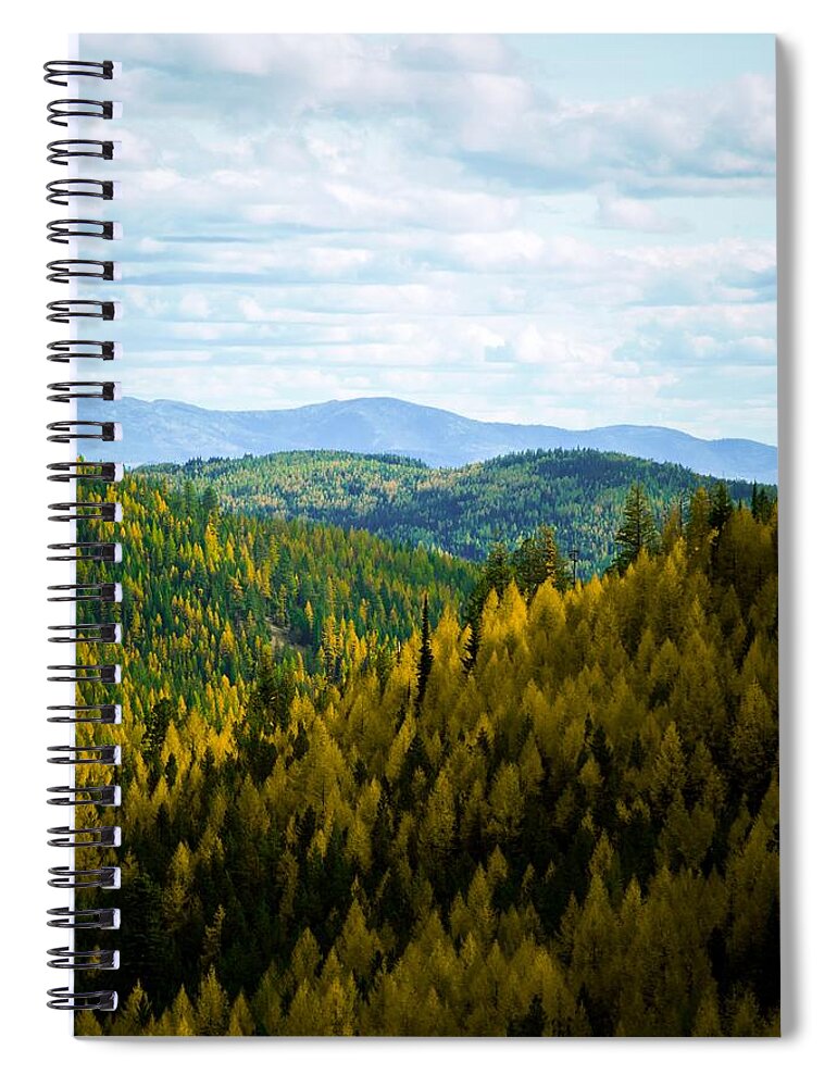 Sherman Pass Spiral Notebook featuring the photograph Colors of Sherman's Pass by Troy Stapek
