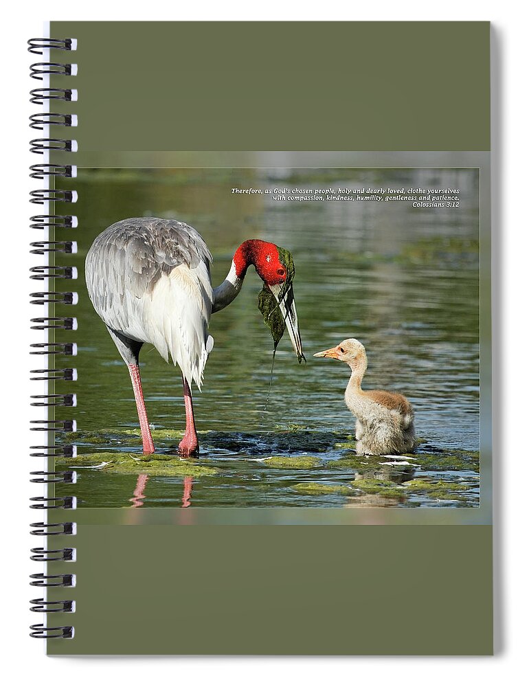 Bible Spiral Notebook featuring the photograph Colossians 3 12 by Dawn Currie