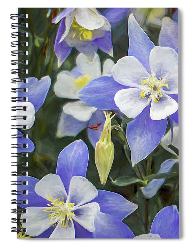 Columbine Spiral Notebook featuring the photograph Columbine by Jennifer Grossnickle