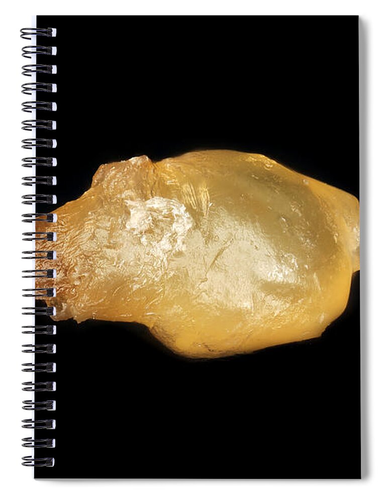 Blackhead Spiral Notebook featuring the photograph Comedo Black Head by Macroscopic Solutions