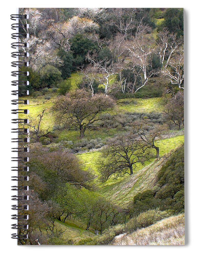 Landscapes Spiral Notebook featuring the photograph Coming Down The Hill by Karen W Meyer