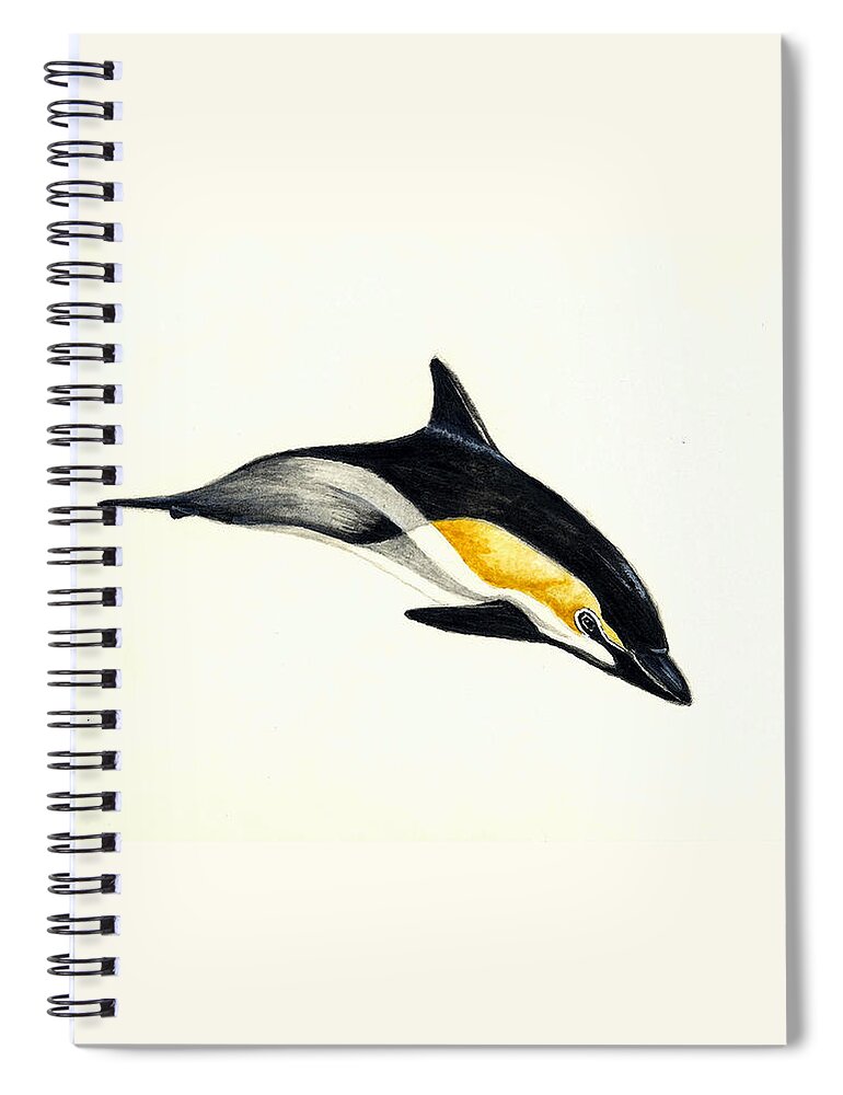 Dolphin Spiral Notebook featuring the painting Common Dolphin by Michael Vigliotti