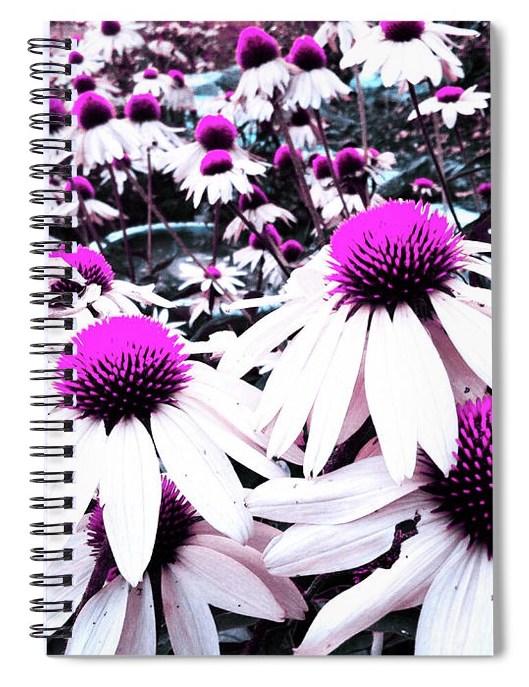 Cone Flower Spiral Notebook featuring the photograph Cone Flower Delight by Kevyn Bashore