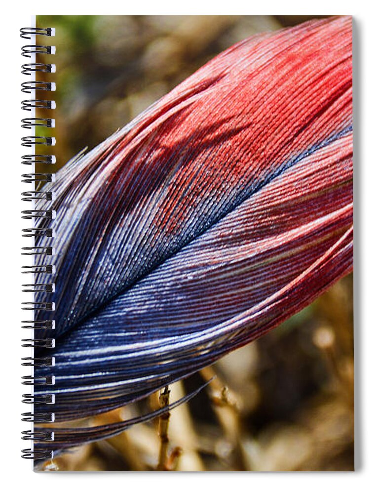 Adrian-deleon Spiral Notebook featuring the photograph Congo African Grey Feather by Adrian De Leon Art and Photography