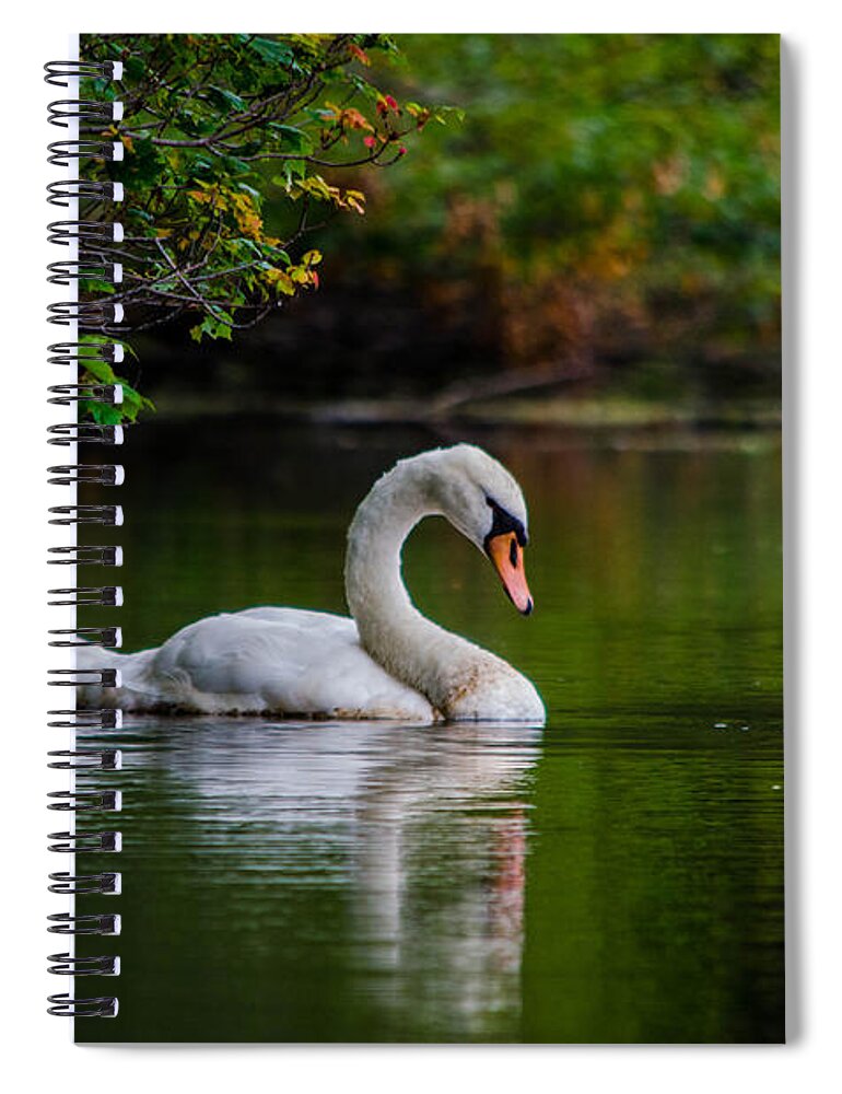 Swan Spiral Notebook featuring the photograph Contemplating Swan by Linda Howes