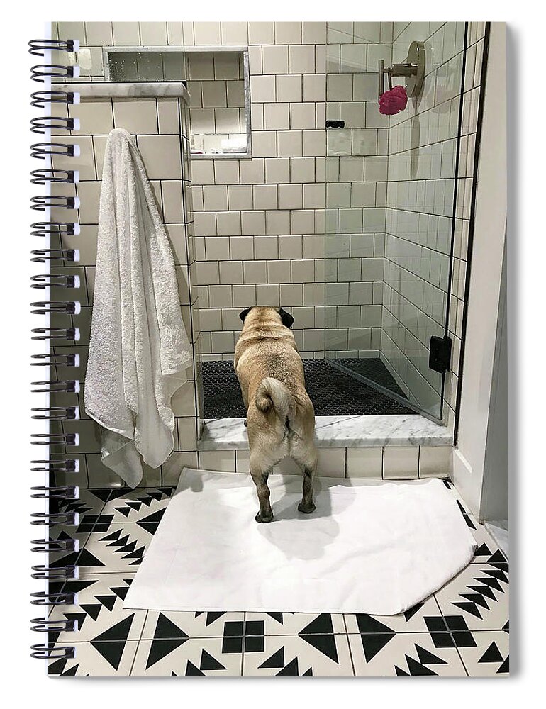 Pug Spiral Notebook featuring the photograph Contemplating by Jackson Pearson