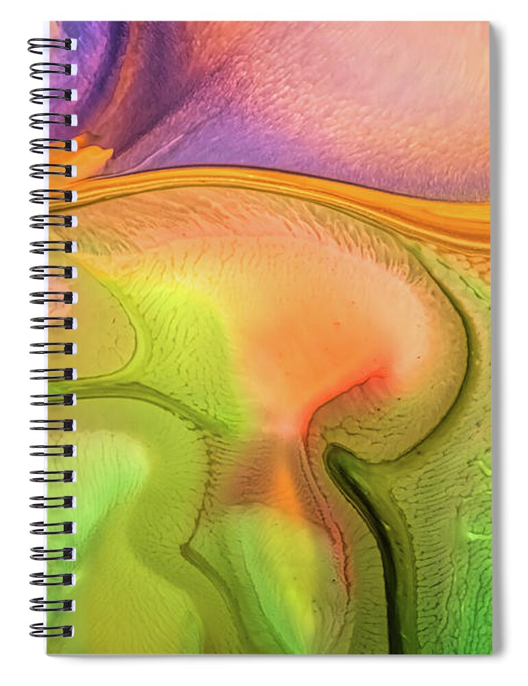 Abstract Art Spiral Notebook featuring the mixed media Contemporary abstract 4 by Lilia S