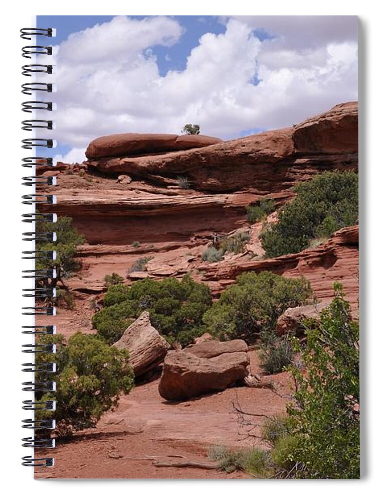 Canyonlands National Park Spiral Notebook featuring the photograph Contrasts in Nature by Frank Madia