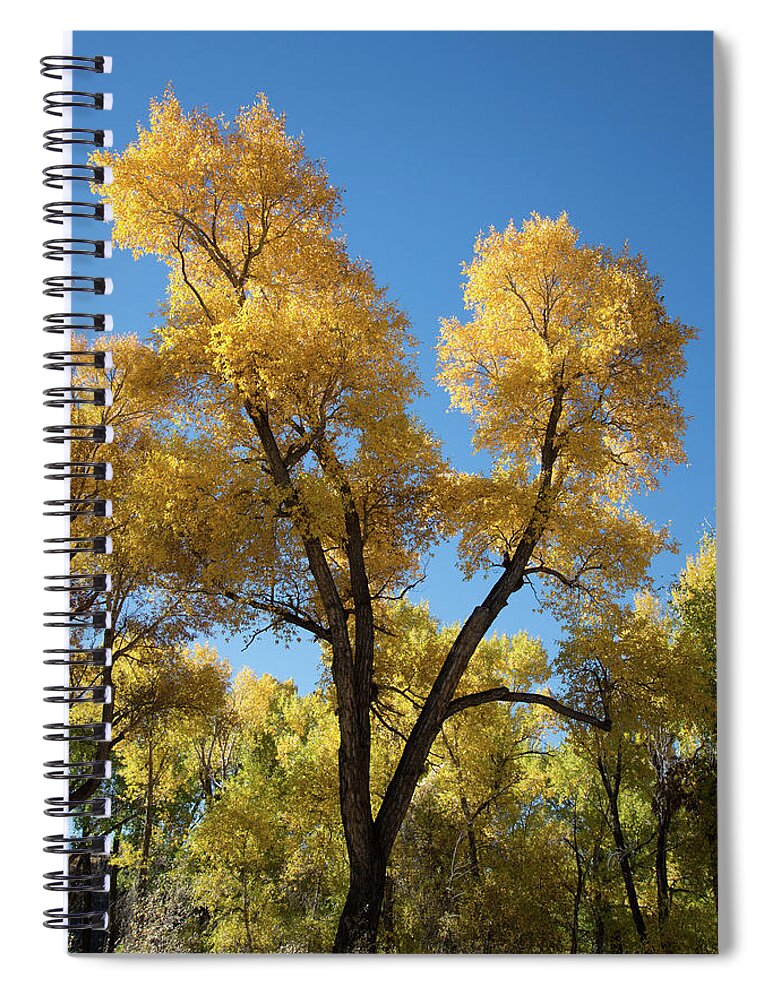 Cody Spiral Notebook featuring the photograph Cool, Crisp, Clean by Frank Madia