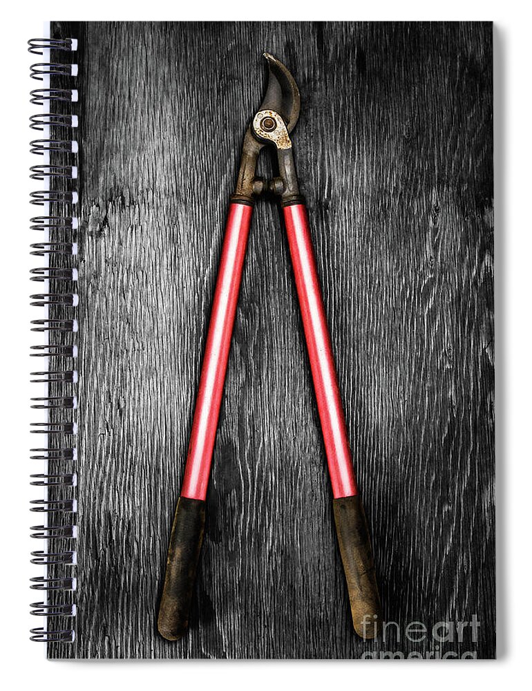 Art Spiral Notebook featuring the photograph Corona Loppers on BW Wood by YoPedro