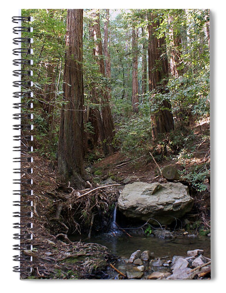 Nature Spiral Notebook featuring the photograph Corte Madera Creek on Mt Tamalpais #6 by Ben Upham III