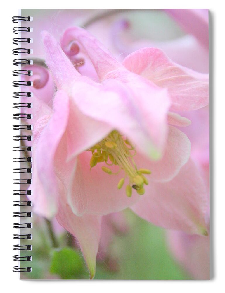 Flower Spiral Notebook featuring the photograph Cotton Candy by Julie Lueders 