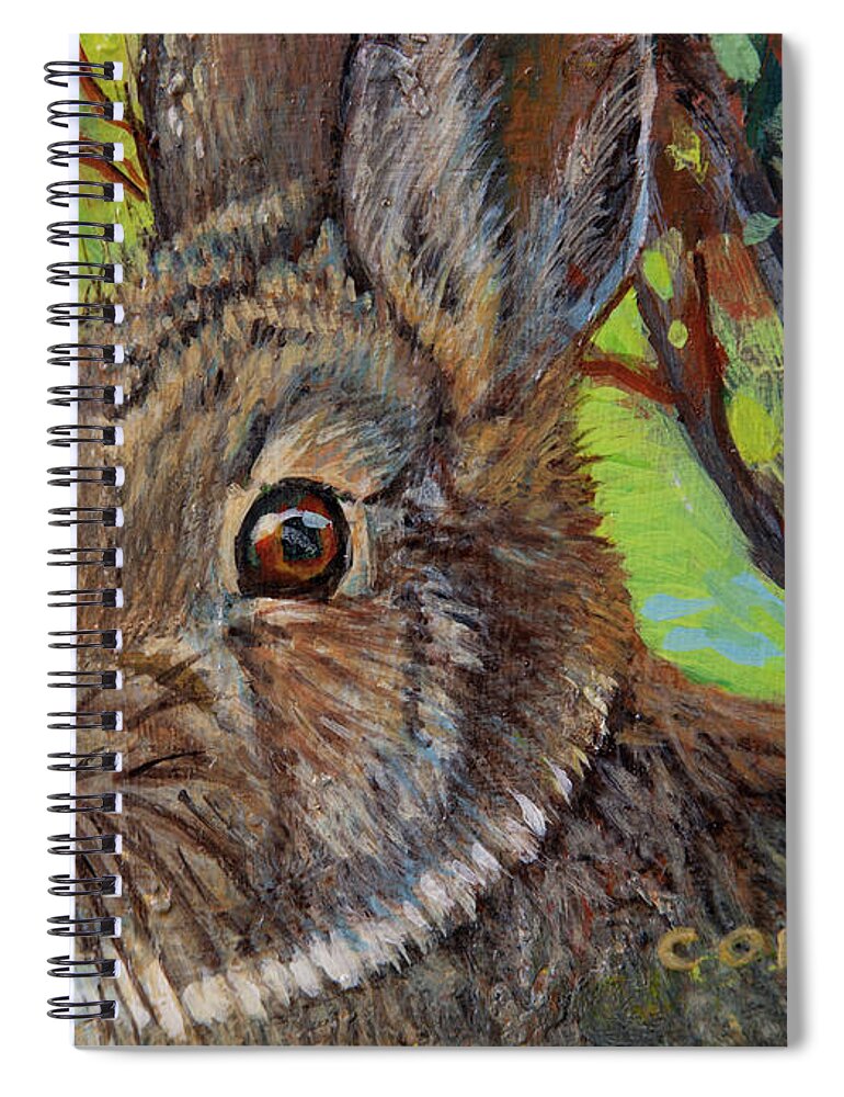 Rabbit Spiral Notebook featuring the painting Cotton Tail Rabbit by Robert Corsetti